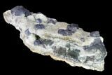 Purple Fluorite Crystals on Quartz - Fluorescent! #146664-3
